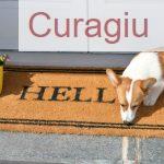 4 consejos para darle la bienvenida a casa a una mascota