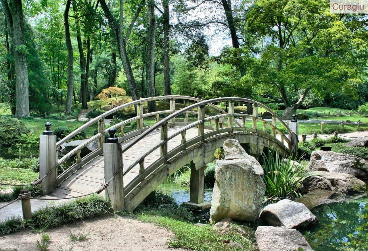 bridge, park, garden