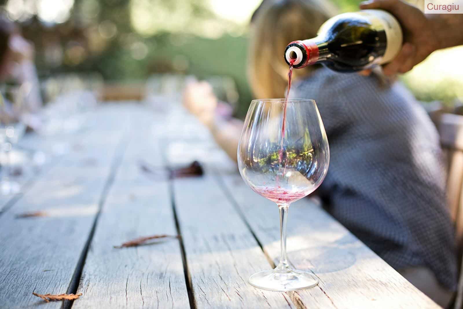 vinos de cataluña
