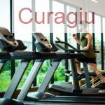 Cómo estructurar tu semana de entrenamiento en el gimnasio