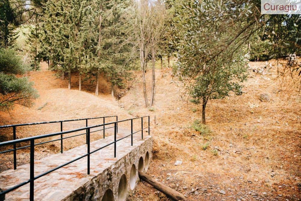 Camino santiago desde sarria