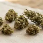 Flores de CBD con diferentes estructuras y tipos de cultivo